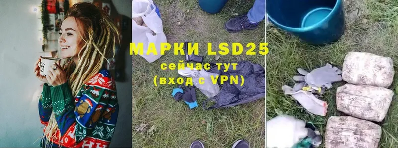 как найти закладки  Петровск  LSD-25 экстази ecstasy 